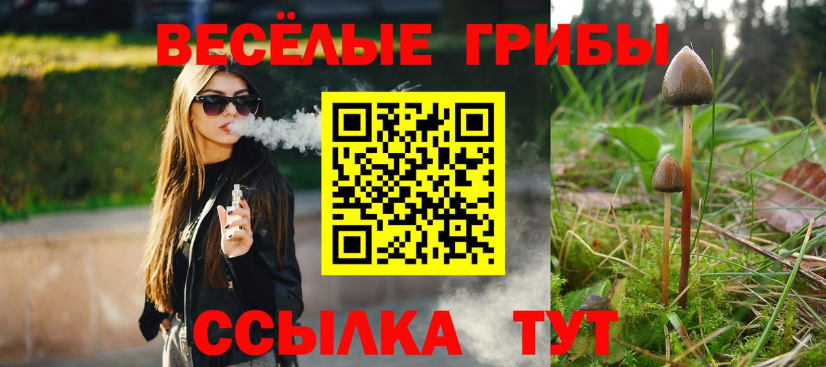 Галлюциногенные грибы прущие грибы  Вход с VPN  Галлюциногенные грибы Cubensis  Новодвинск 